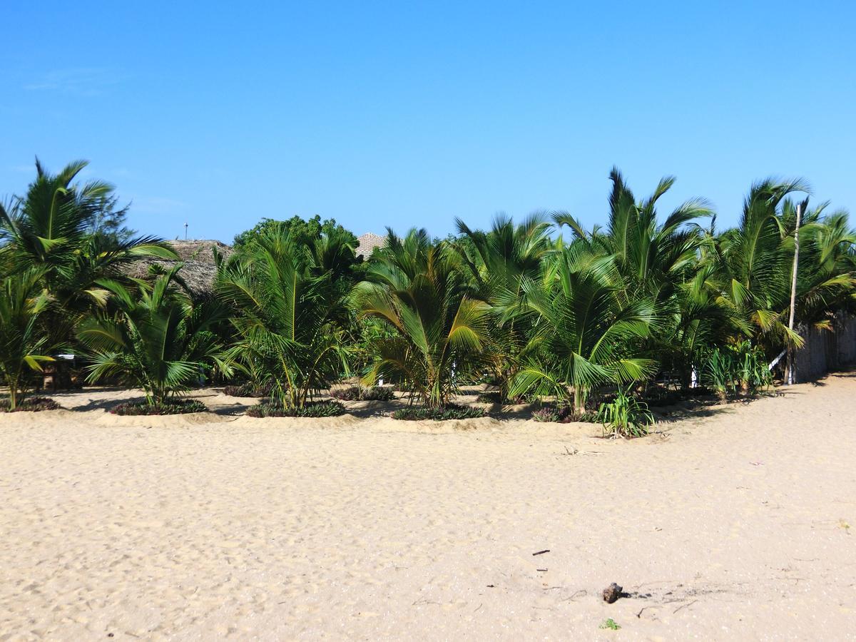 The Tasty Tuna Cabana Arugam Bay Exterior photo