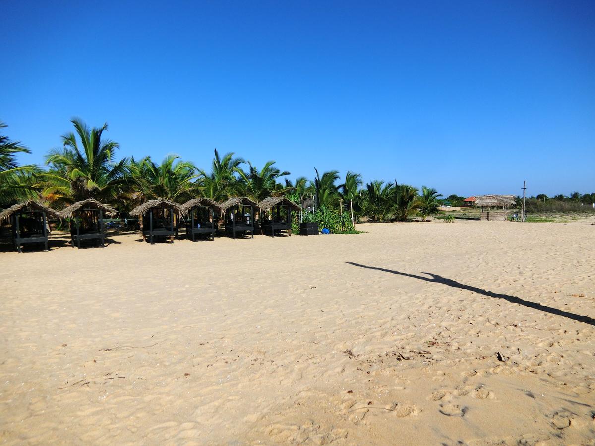 The Tasty Tuna Cabana Arugam Bay Exterior photo